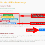 Người chơi thực hiện chuyển tiền theo thông tin nhà cái gửi